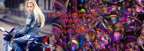 стафф Верхний Тагил