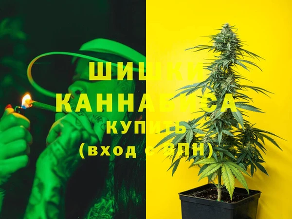 стафф Верхний Тагил