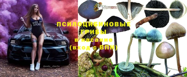 Альфа ПВП Верхнеуральск