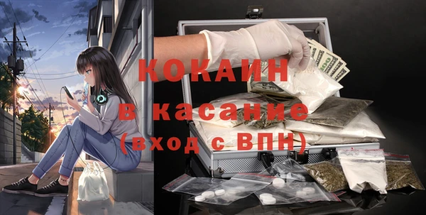 гашик Верея