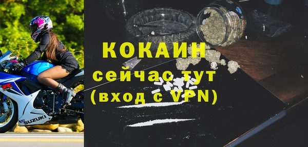 гашик Верея