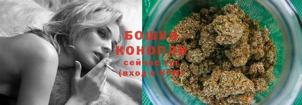 стафф Верхний Тагил