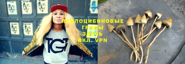 гашик Верея