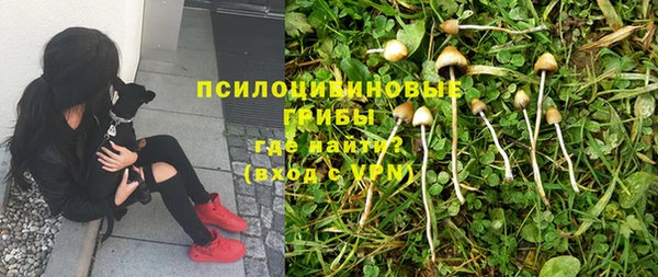 Альфа ПВП Верхнеуральск