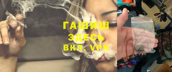 гашик Верея