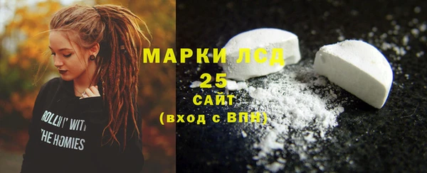 гашик Верея
